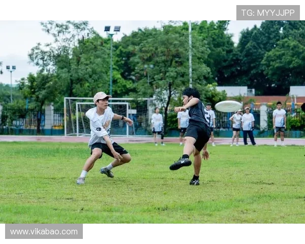 深圳飞盘队与上海飞盘队赛后分析力量对比与战术总结